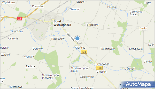 mapa Leonów, Leonów gmina Borek Wielkopolski na mapie Targeo